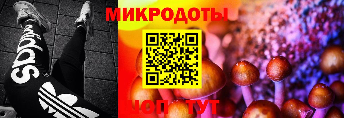 Галлюциногенные грибы Magic Shrooms  Вход с VPN  Павлово 